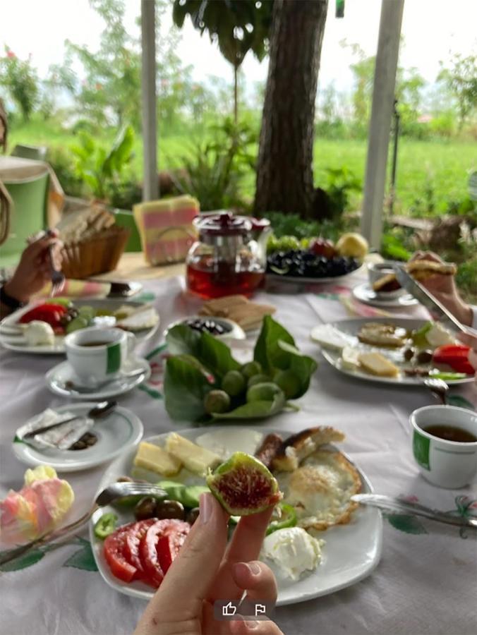 Nature Hotel 3*