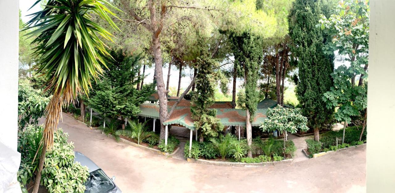 Nature Hotel