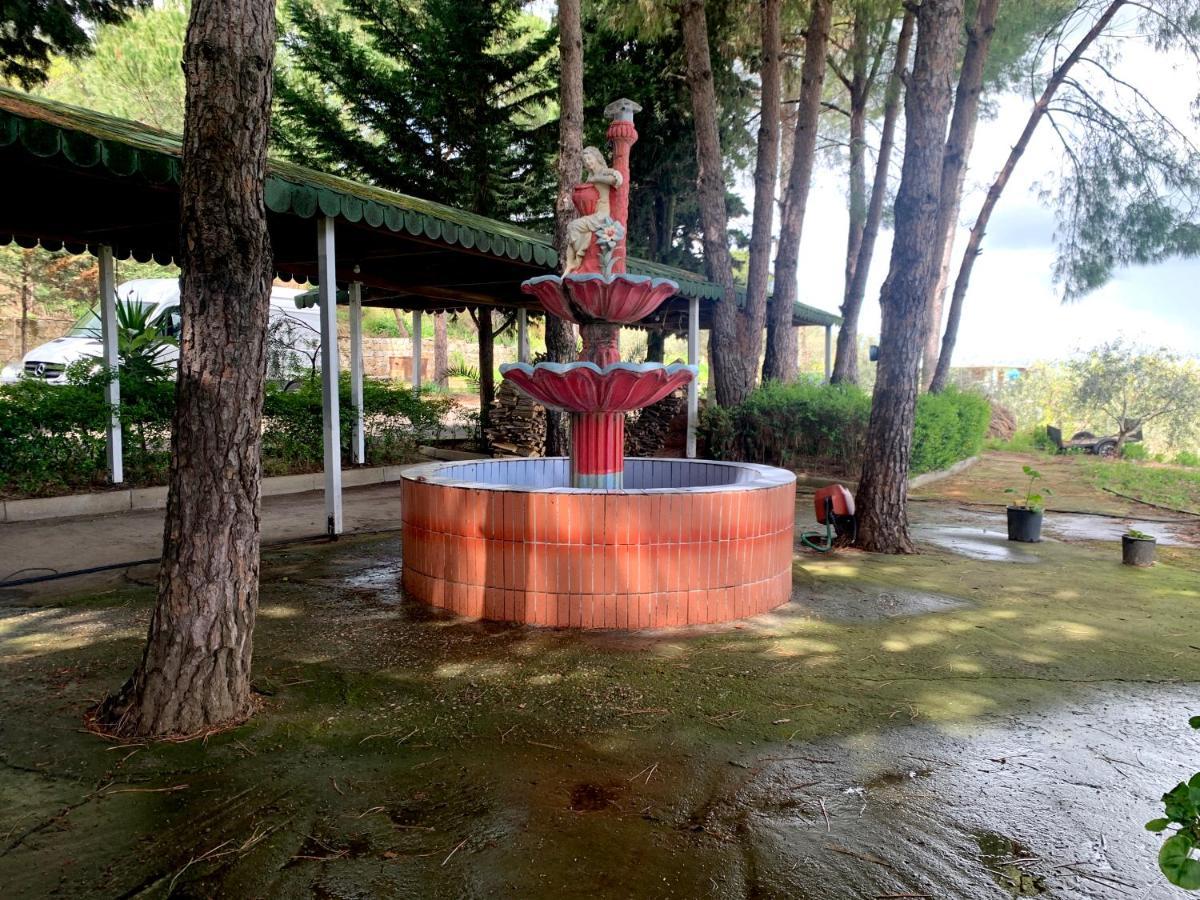 Hotel Nature 3*