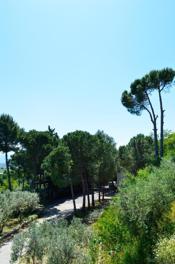 Nature Hotel Kolonje (Fier)