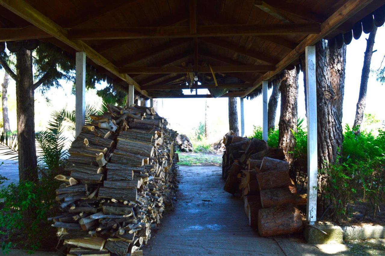 Nature Kolonje (Fier)