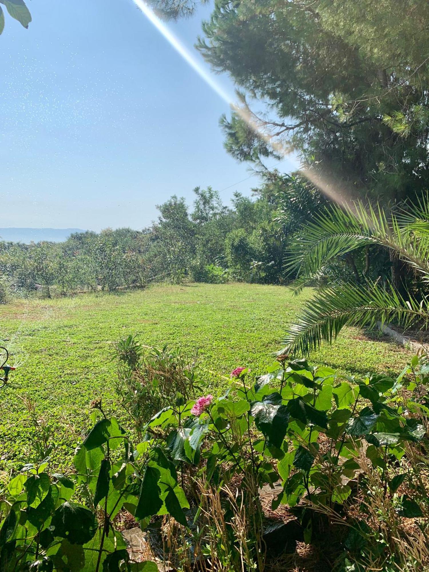 Nature Kolonje (Fier)