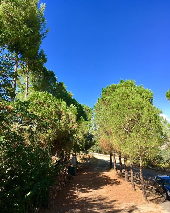 Nature Kolonje (Fier)