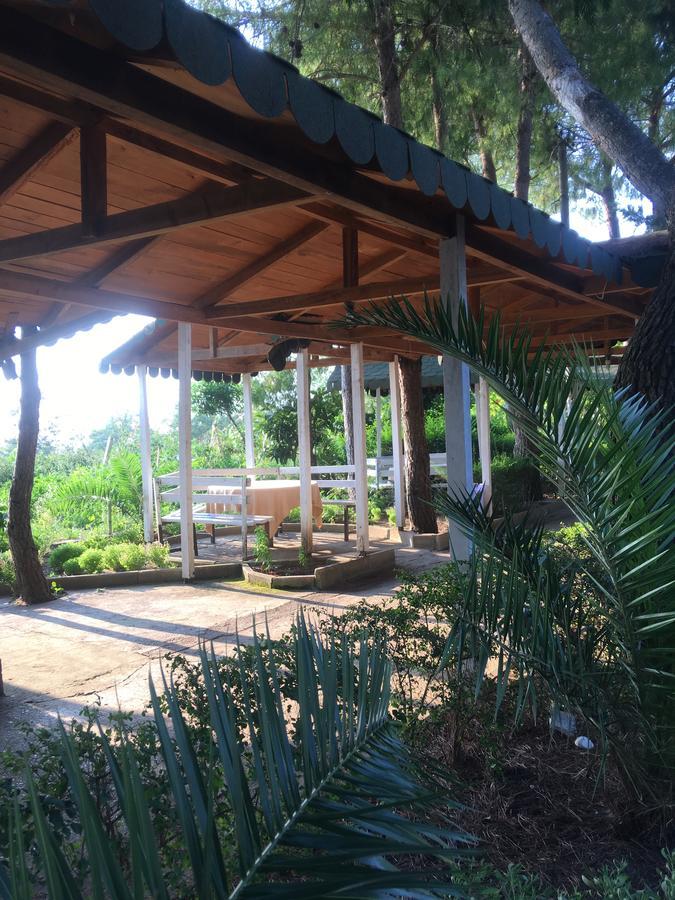 Hotel Nature