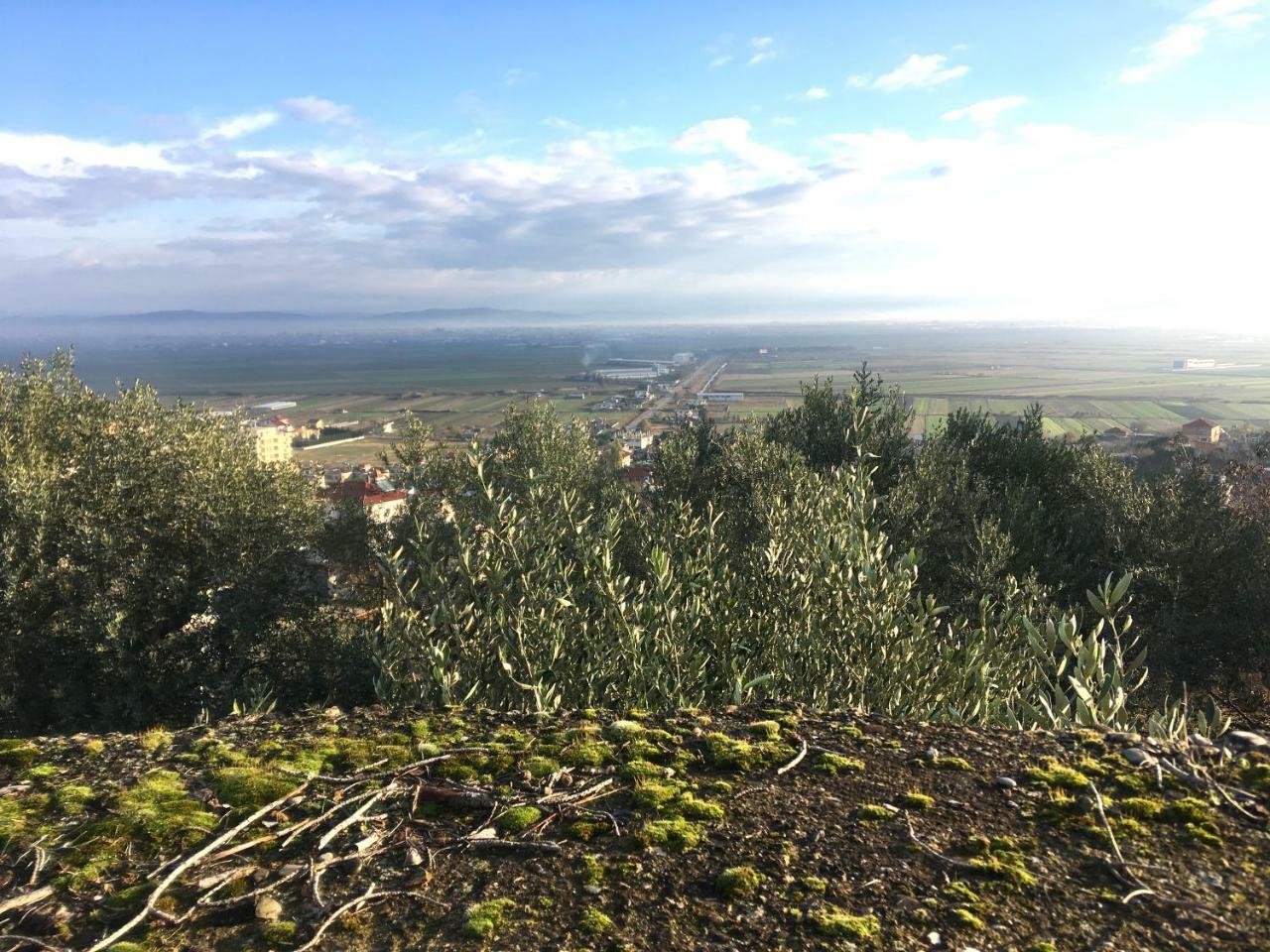 Nature Hotel Kolonje (Fier)